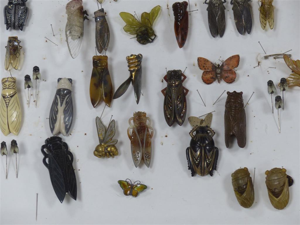 A collection of late 1920s and later cicada, bakelite and bug brooches